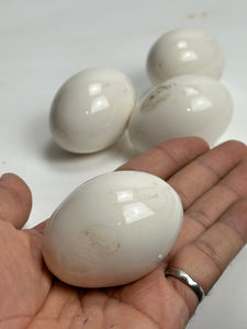 Ironstone Eggs