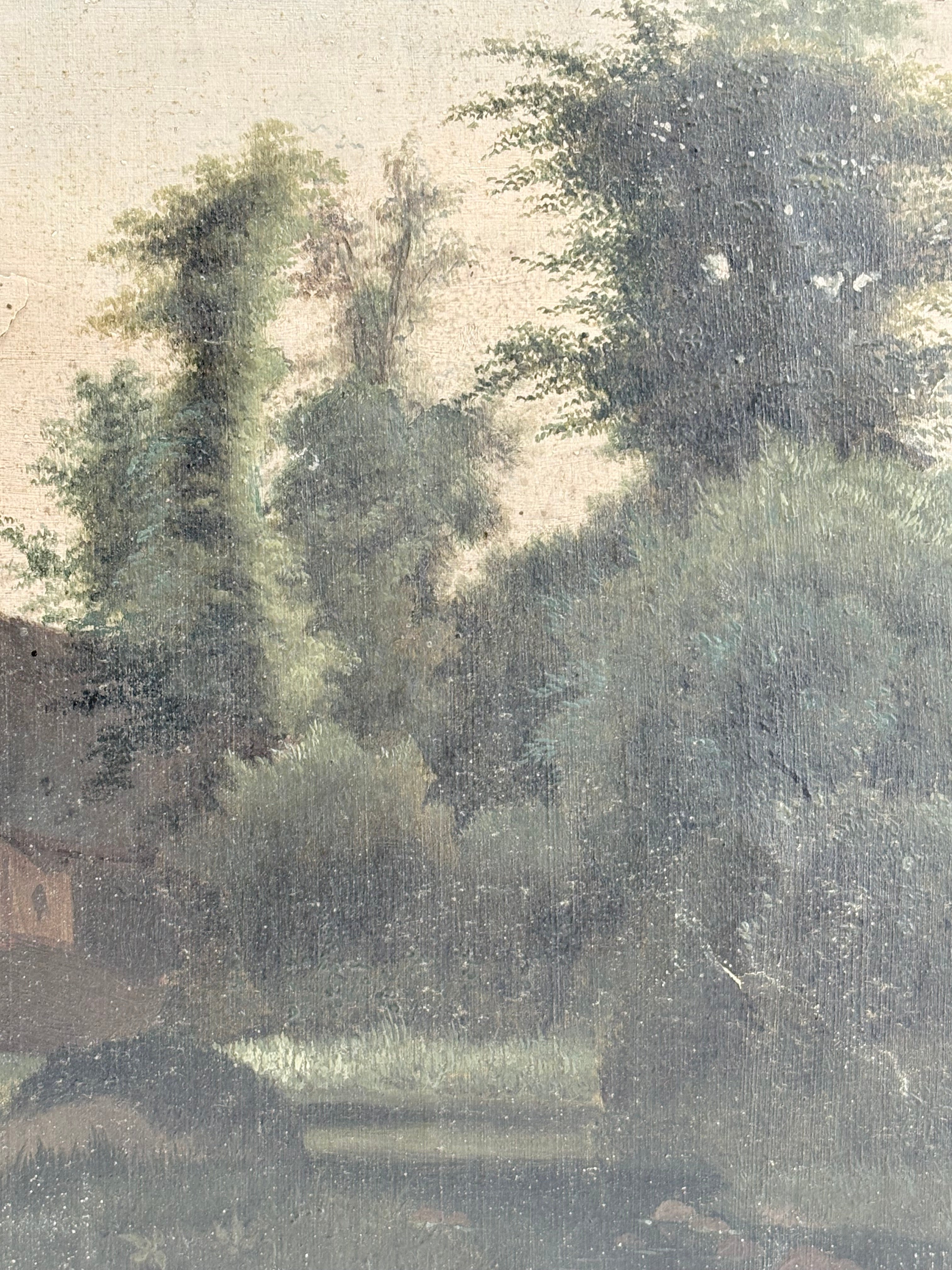 Forest