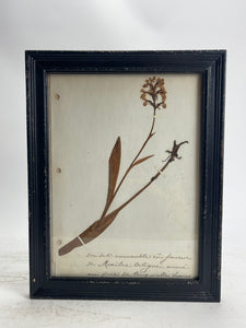 Herbarium