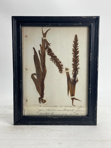 Herbarium